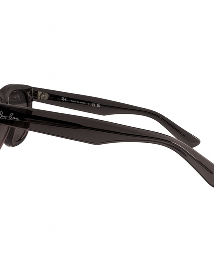 Ray Ban wayfarer reverse
