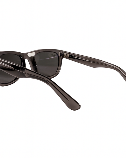 Ray Ban wayfarer reverse